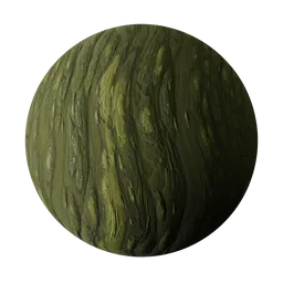 Mossy Weathered Wood