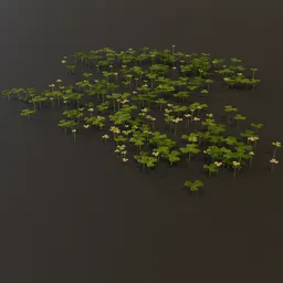 Grass Clover Grownd Cover Large