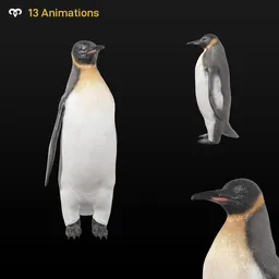 Male Penguin ( Animated )