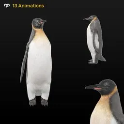 Male Penguin ( Animated )