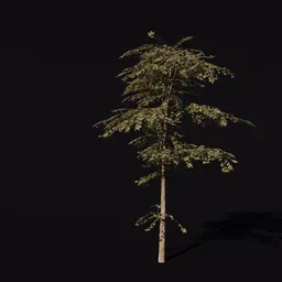 Detailed Cherry Tree 3D model with ripe fruit, optimized for Blender rendering and virtual environments.