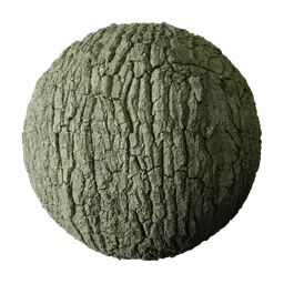 Green Stained Oak Bark