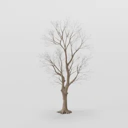 Tall Rottenpine