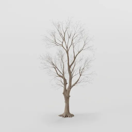 Tall Rottenpine