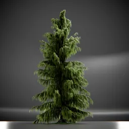 Tree Weeping Nootka Animated