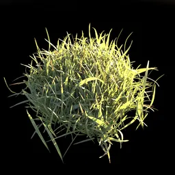 Realistic 3D small grass model for Blender, suitable for natural landscape and environment rendering.