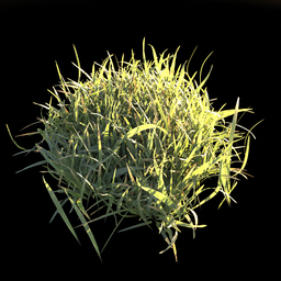 "Small Grass 3D model for Blender 3D - realistic arafed plant with green leaves in tall grass, with cloth simulation and straw features. High rendering quality, light displacement, perfect for videogame graphics. Also featured on Z Brush."