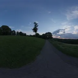 Bismarckturm Hillside