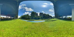 Green grass during the day