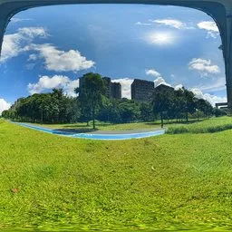 Green grass during the day