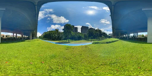 Green grass during the day