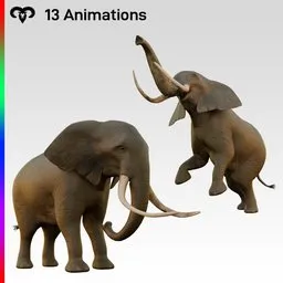 Male Elephant Animated