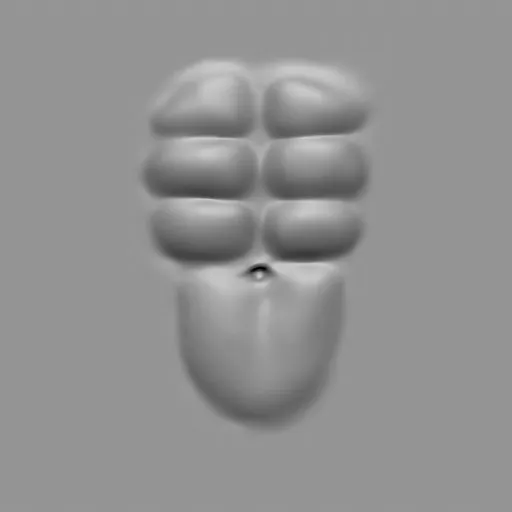 ER_Muscle brush 27