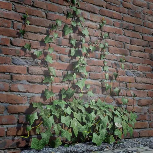 Detailed 3D ivy model climbing a wall, suitable for game environments and Blender 3D scenes.