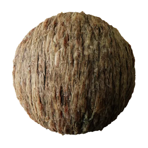 Tree Bark