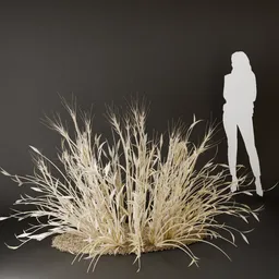 SJ-Boho Bush Ornament dried