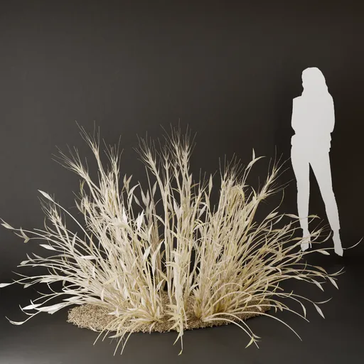 SJ-Boho Bush Ornament dried