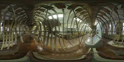 360-degree view inside a whale skeleton exhibit, detailed lighting for 3D rendering.