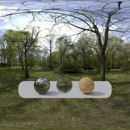 Sady Zoliborskie Park 16k, unclipped