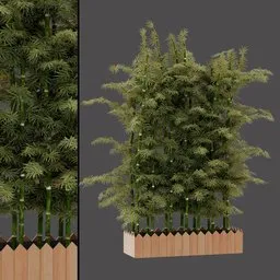 Green Bamboo Cluster