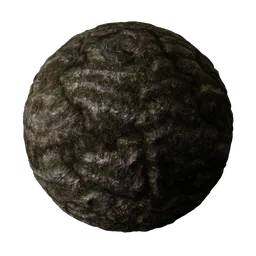Rock Sedimentary Gray