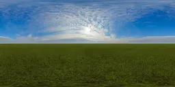 Green grass cloudy blue sky pure sky