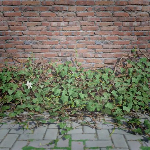 Ivy Creeper Edge 2M 02 03