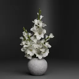 White Gladiolus Flower