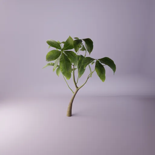 Sapling plant