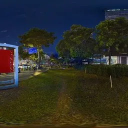 Grass beside the sidewalk at night