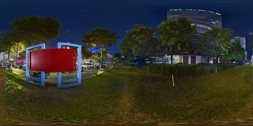 Grass beside the sidewalk at night