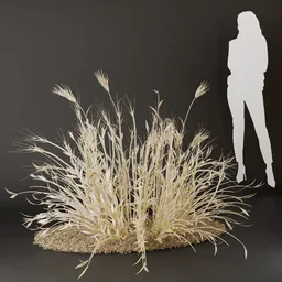 SJ-Organic Bush Touch