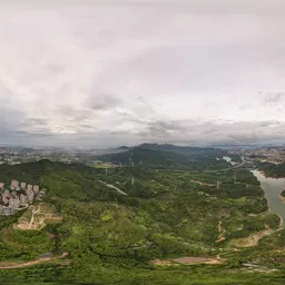 Highsky green forest