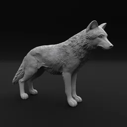 Wolf Standing