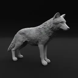 Wolf Standing