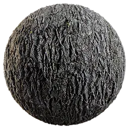 Oak tree bark