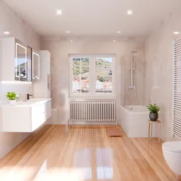 Modern Elegant Bathroom