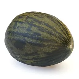 Santa Claus melon Christmas Piel de Sapo