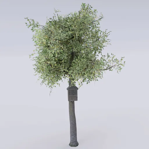 Bird Feeder Tree