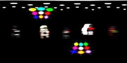 Black White Light Studio