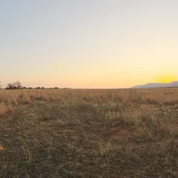 Plains Sunset