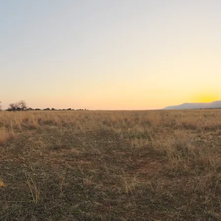 Plains Sunset