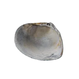 River Shell