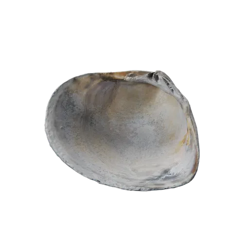 River Shell
