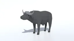 Low Poly African Buffalo