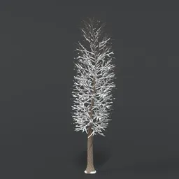 Tree With Snow