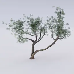 Park Garden Tree double sided material