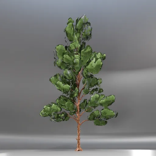 Pine Toon Tree