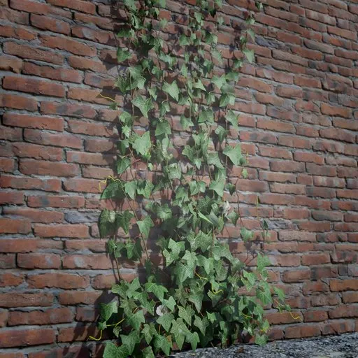 Detailed 3D ivy creeper model with high-quality textures, suitable for game design and virtual environments.