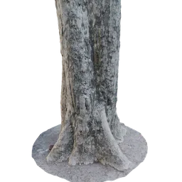 Detailed 3D model of a realistic tree trunk suitable for Blender rendering with intricate textures.